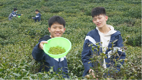 特辑(五)正青春何远不届，展芳华壮志凌云194.png