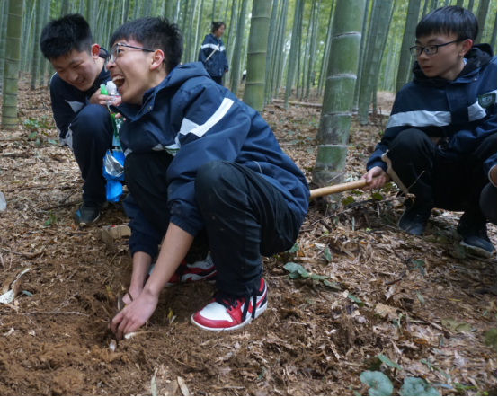 特辑(五)正青春何远不届，展芳华壮志凌云932.png