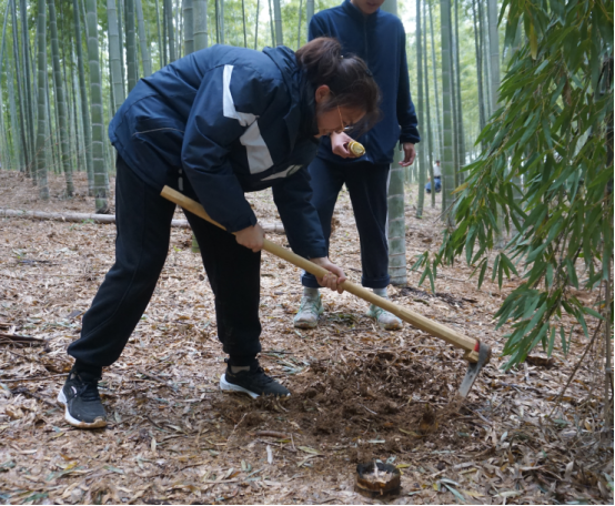 特辑(五)正青春何远不届，展芳华壮志凌云934.png